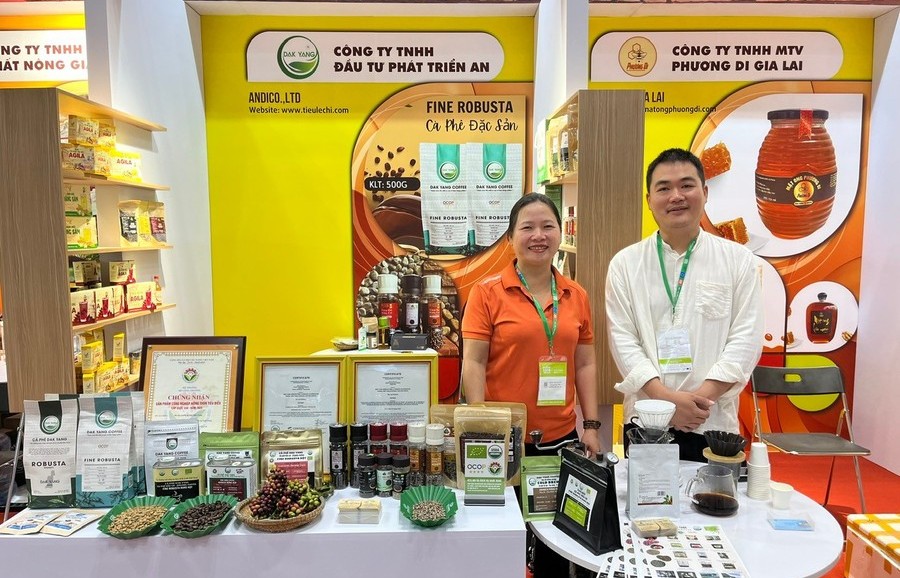 Gia Lai: Hỗ trợ chuyển đổi hơn 3.000 hộ kinh doanh thành doanh nghiệp