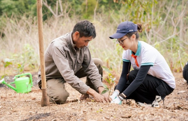 100.000 cây xanh được trao tặng thông qua chương trình Tết An Bình 2026