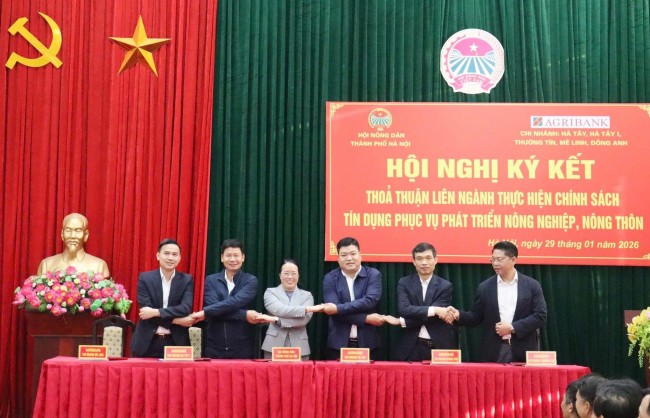 Phối hợp hỗ trợ nông dân tiếp cận vốn phát triển sản xuất