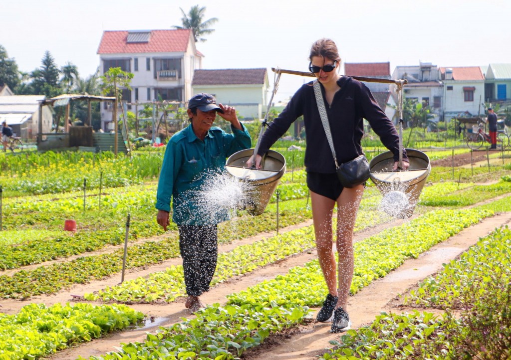 Làng rau Trà Quế không chỉ là địa chỉ du lịch xanh nổi tiếng mà còn là điểm trải nghiệm nghề trồng rau rất được du khách nước ngoài yêu thích