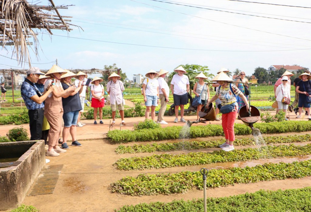 Làng rau Trà Quế (Hội An) là điểm đến hấp dẫn, thu hút hàng trăm du khách quốc tế mỗi ngày đến trải nghiệm làm nông dân (Ảnh Đ.Minh)