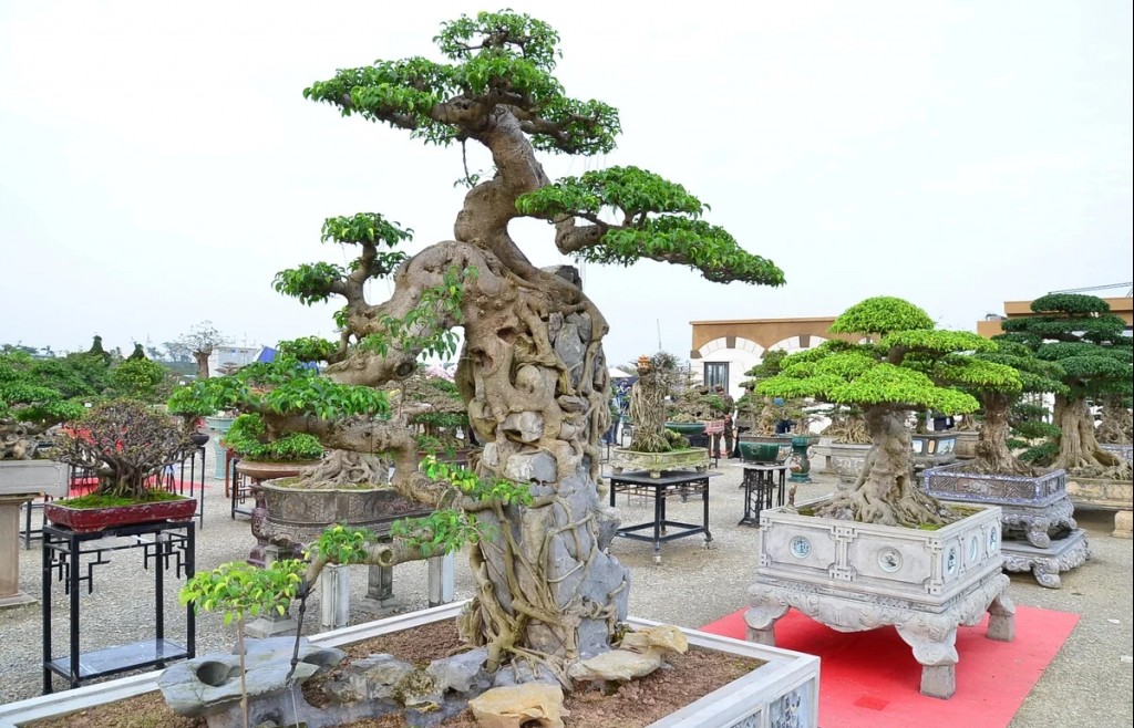 Tái hiện không gian "Tết Việt" tại Lễ hội Hoa cây cảnh, sản phẩm OCOP