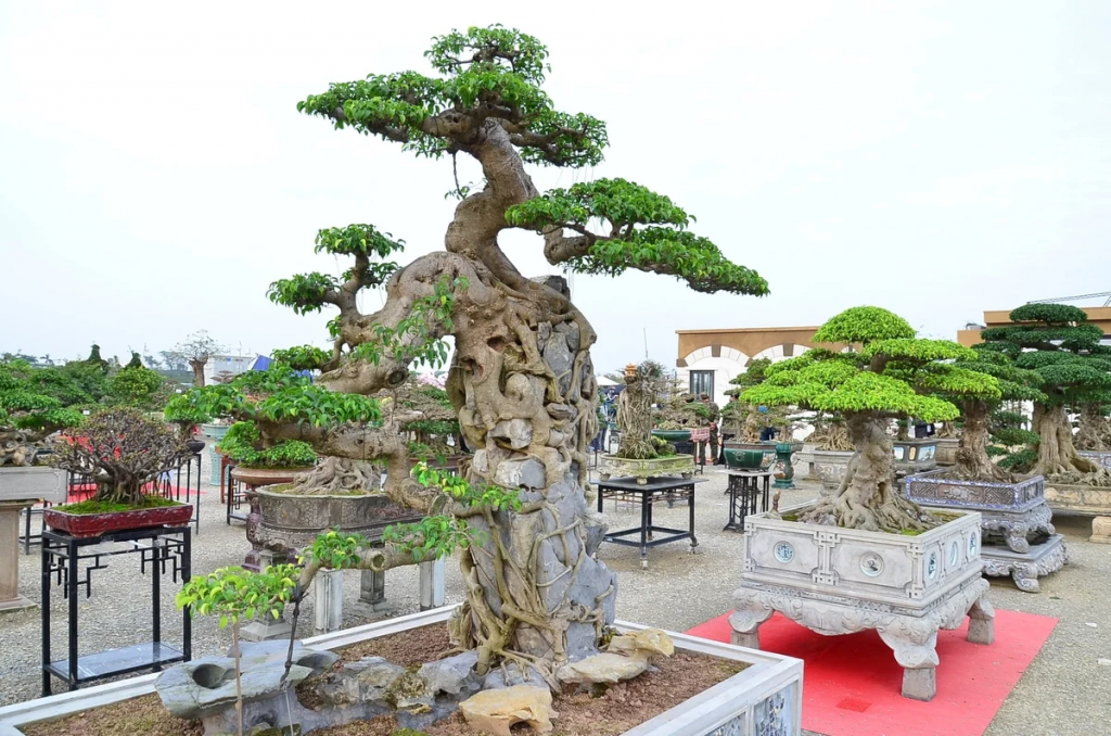 Tái hiện không gian