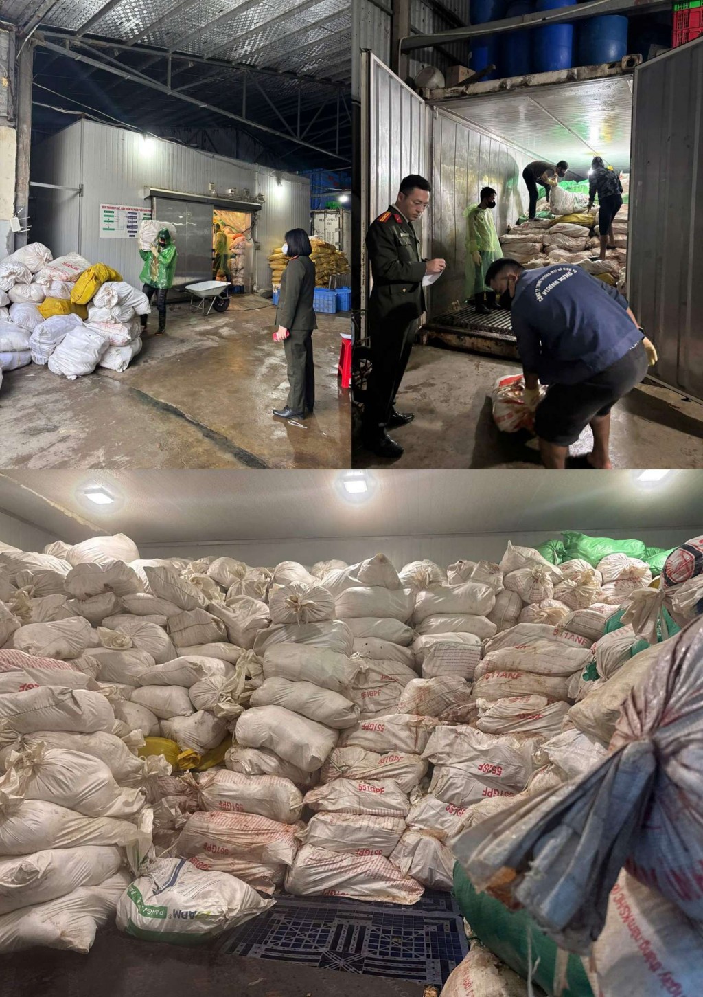 Kho cấp đông lưu trữ hàng chục tấn hàng hóa trong thời gian dài từ 4-6 tháng Kho cấp đông lưu trữ hàng chục tấn hàng hóa trong thời gian dài từ 4-6 tháng