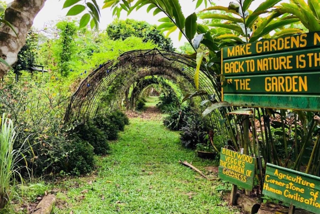 Không gian xanh mát với thảm thực vật đa dạng ngay từ cổng vào giữa vùng ven Kranji (Ảnh: Lokalee) Không gian xanh mát với thảm thực vật đa dạng ngay từ cổng vào giữa vùng ven Kranji (Ảnh: Lokalee)