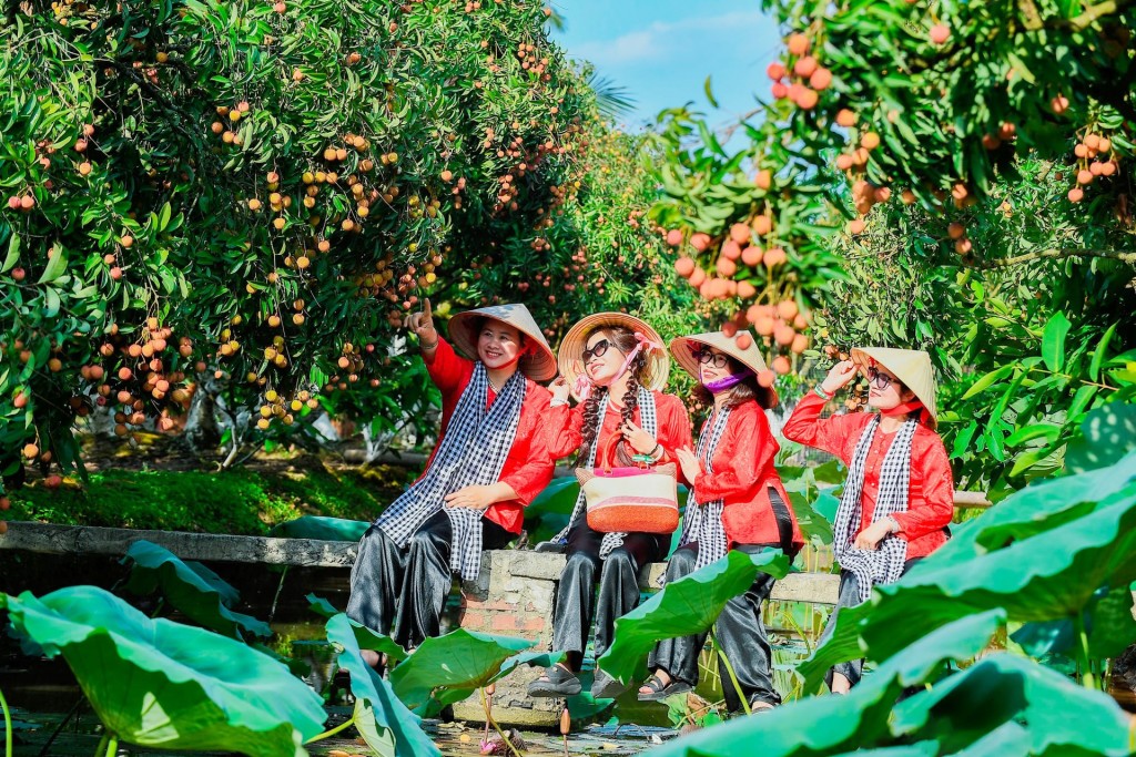 Sau sáp nhập, Hải Phòng có thêm nhiều loại hình du lịch sinh thái, tâm linh, văn hóa - lịch sử... (Trong ảnh: Khu du lịch sinh thái Đồng Mẩn, xã Thanh Hà được nhiều người tìm đến) Sau sáp nhập, Hải Phòng có thêm nhiều loại hình du lịch sinh thái, tâm linh, văn hóa - lịch sử... (Trong ảnh: Khu du lịch sinh thái Đồng Mẩn, xã Thanh Hà được nhiều người tìm đến)