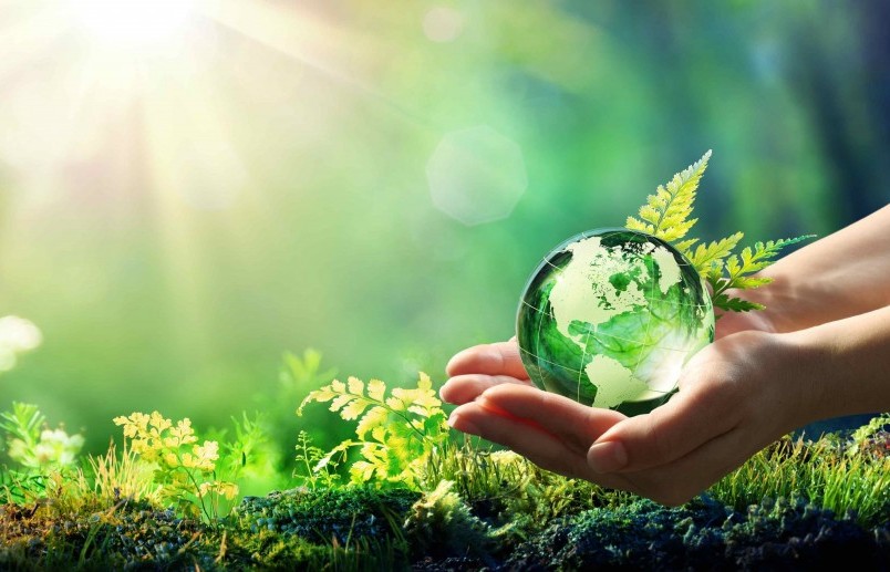 "Thơ mất ngủ" tiếng chuông cảnh tỉnh về môi trường hôm nay