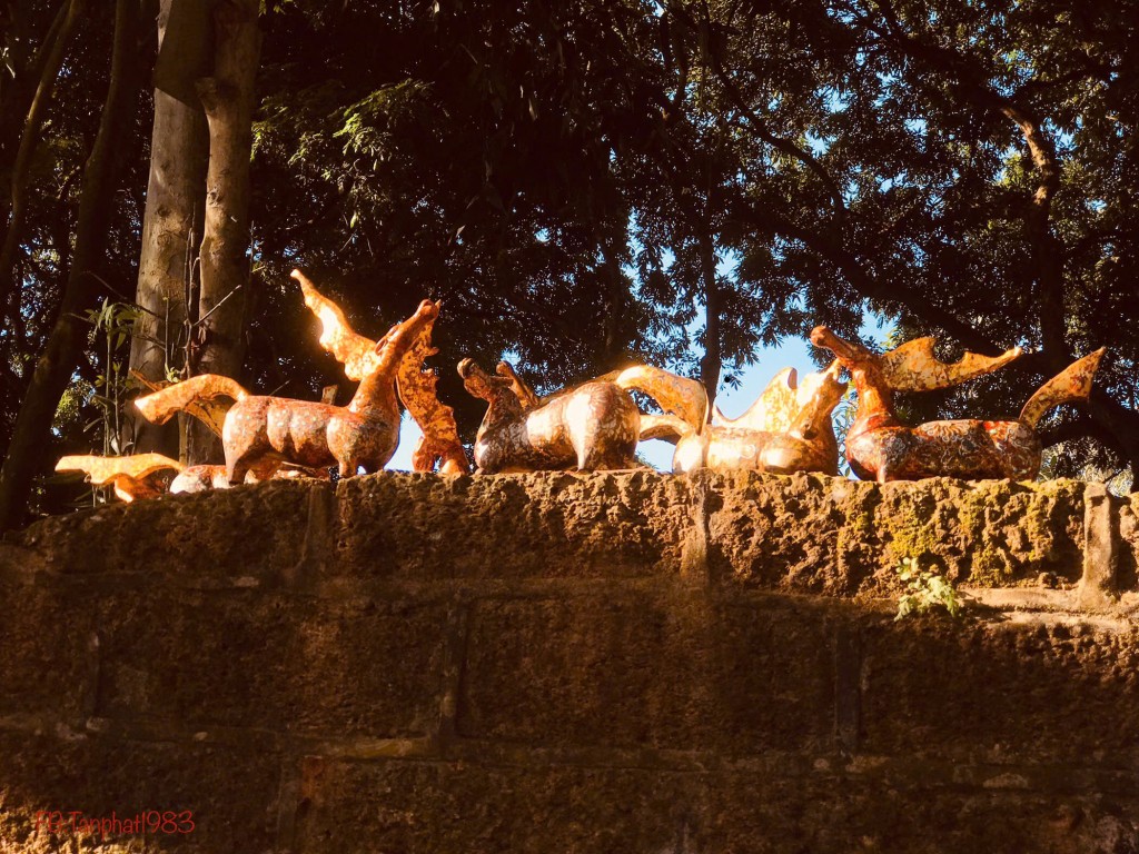 Ngựa, mùa Xuân và hành trình đi tìm chiều sâu của một nghề