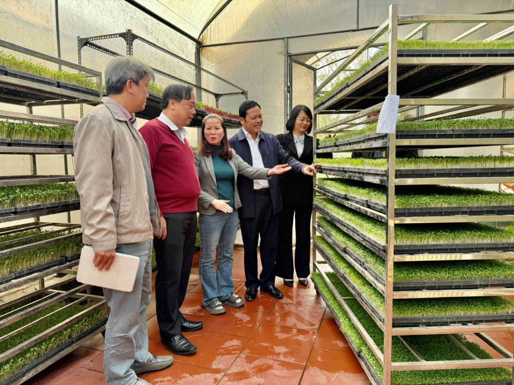 Hà Nội sẵn sàng cho mùa Tết Bính Ngọ đủ đầy