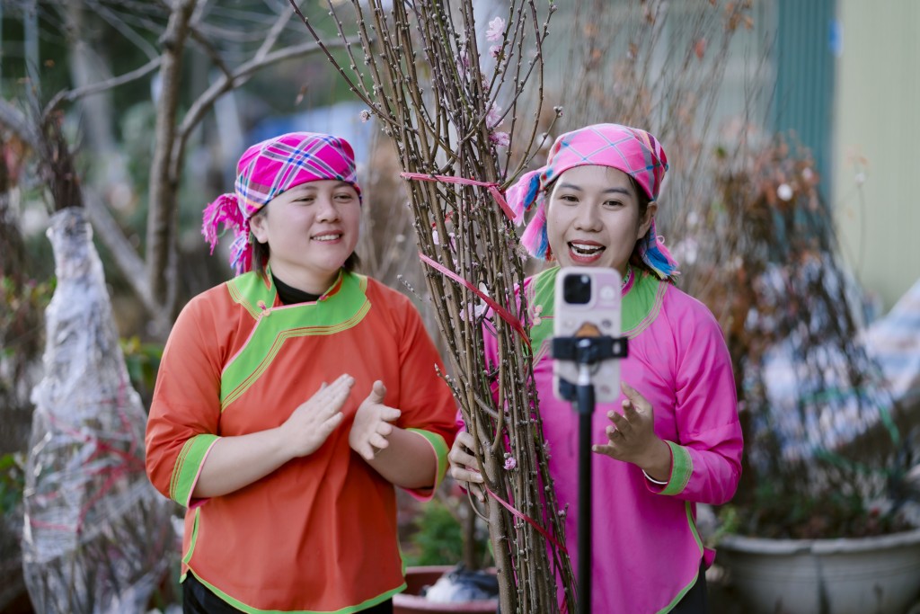 Hình ảnh. Phiên livestream _Tết Ta Ba Miền - Chở Xuân Về Nhà_ đã giúp bà con tiêu thụ hơn 1200 đơn hàng hoa đào, nhất chi mai và miến dong chỉ trong 4 giờ_1