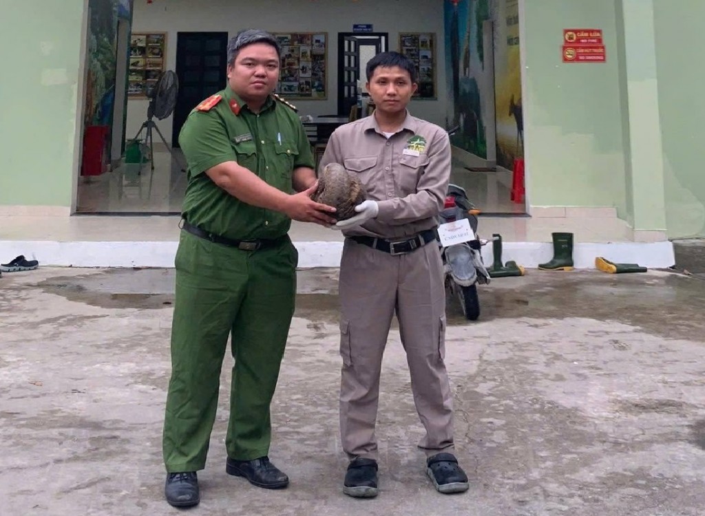 Cá thể tê tê nặng hơn 4kg được người dân phát hiện và tự nguyện giao nộp Cá thể tê tê nặng hơn 4kg được người dân phát hiện và tự nguyện giao nộp