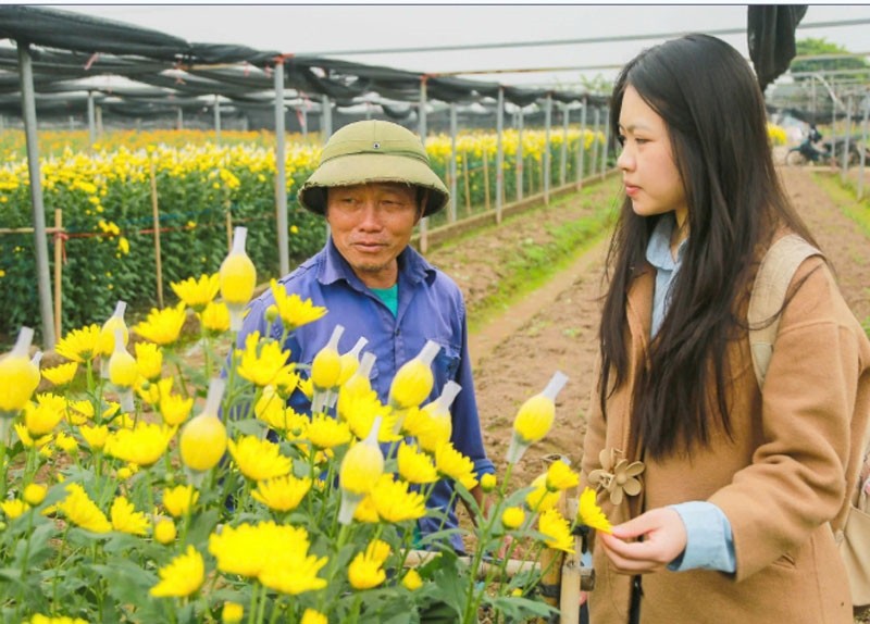 Các làng hoa ven đô rộn ràng vào vụ Tết Các làng hoa ven đô rộn ràng vào vụ Tết