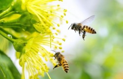 Đường về rực rỡ