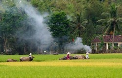 Gió nơi miền ký ức