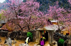 Mùa xuân đợi em về