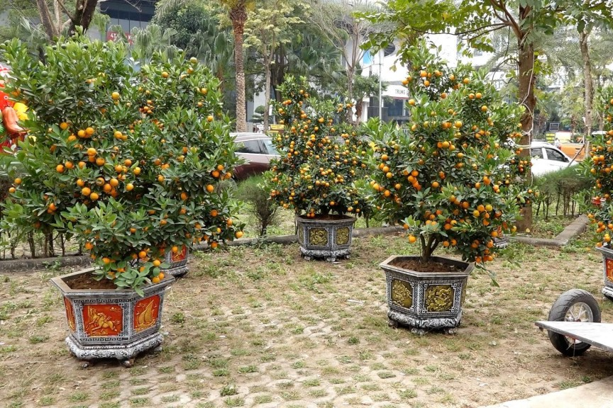 Chính quyền cơ sở chung tay mang Tết an lành đến Nhân dân