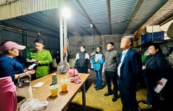 Kiểm tra đột xuất các cơ sở kinh doanh thực phẩm dịp cận Tết