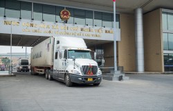 Tạm dừng áp dụng Nghị định số 46 về an toàn thực phẩm đến hết ngày 15/4/2026