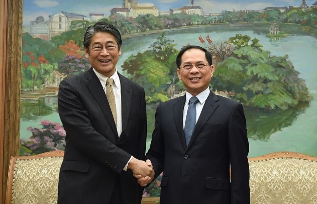 Phó Thủ tướng Bùi Thanh Sơn tiếp Đại sứ Nhật Bản Ito Naoki