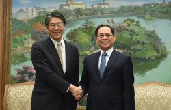 Phó Thủ tướng Bùi Thanh Sơn tiếp Đại sứ Nhật Bản Ito Naoki