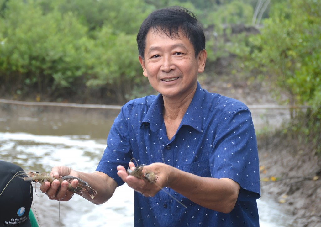 Người dân Cà Mau thu hoạch tôm trong vuông nuôi sinh thái, mô hình gắn sản xuất với bảo vệ hệ sinh thái mặn - lợ ven biển Người dân Cà Mau thu hoạch tôm trong vuông nuôi sinh thái, mô hình gắn sản xuất với bảo vệ hệ sinh thái mặn - lợ ven biển