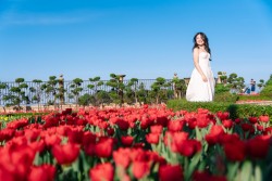 Bà Nà tự tay ươm trồng 1 triệu bông tulip cho mùa lễ hội hoa lớn nhất từ trước đến nay