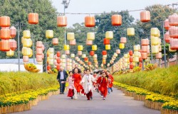 Lần đầu tiên có đường hoa Tết trong Hoàng thành Thăng Long