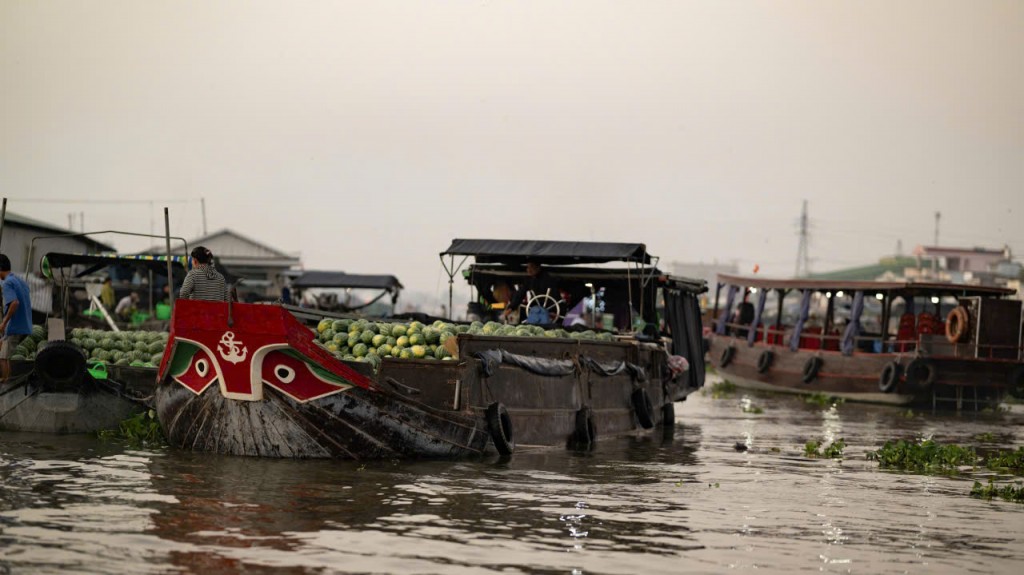 Chợ nổi Cái Răng trong ống kính của Lee Zammit: Khi mặt trời còn chưa lên cao, những ghe dưa hấu đã lặng lẽ neo mình giữa con nước, mang theo sắc đỏ của mùa Tết và nhịp sống bền bỉ của thương hồ miền Tây.