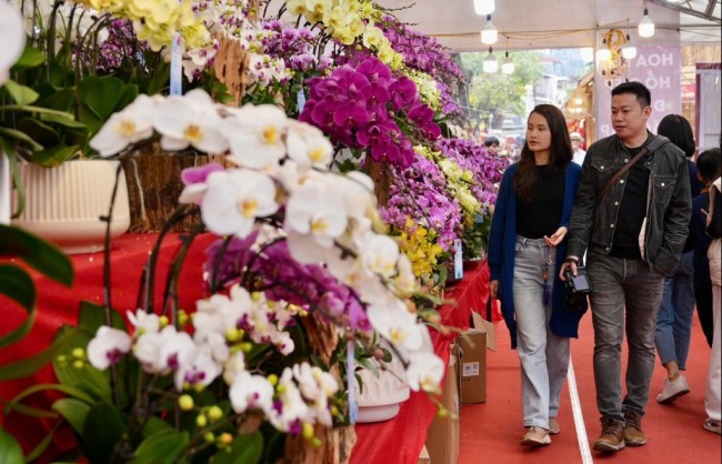 Chợ hoa Xuân Phố cổ - điểm hẹn văn hóa truyền thống của Hà Nội