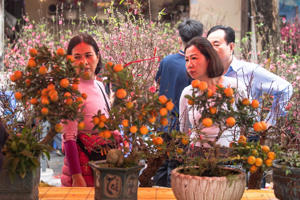 Chợ hoa Xuân Phố cổ - điểm hẹn văn hóa truyền thống của Hà Nội