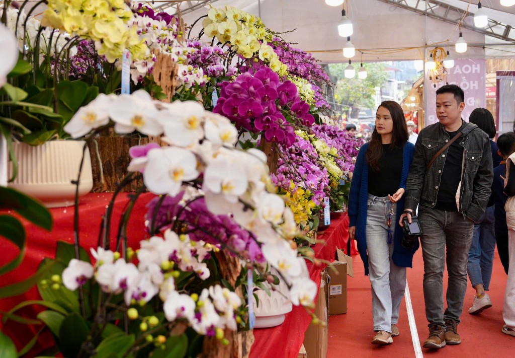 Chợ hoa Xuân Phố cổ - điểm hẹn văn hóa truyền thống của Hà Nội