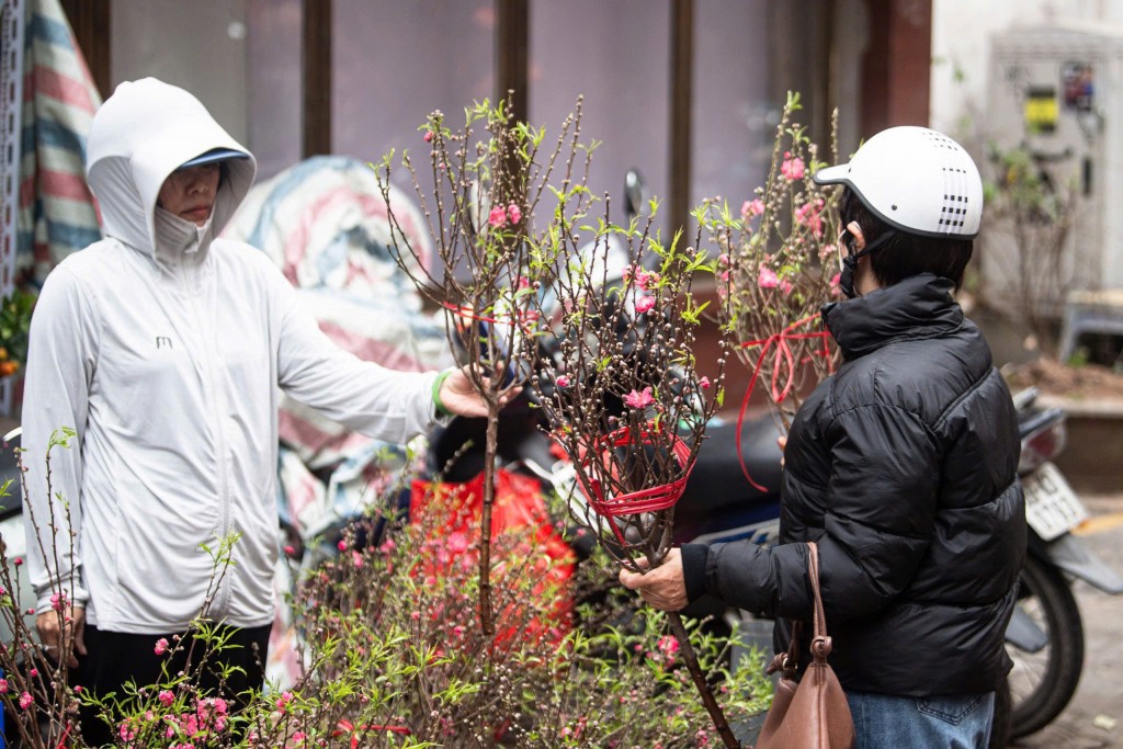 Chợ hoa Xuân Phố cổ - điểm hẹn văn hóa truyền thống của Hà Nội