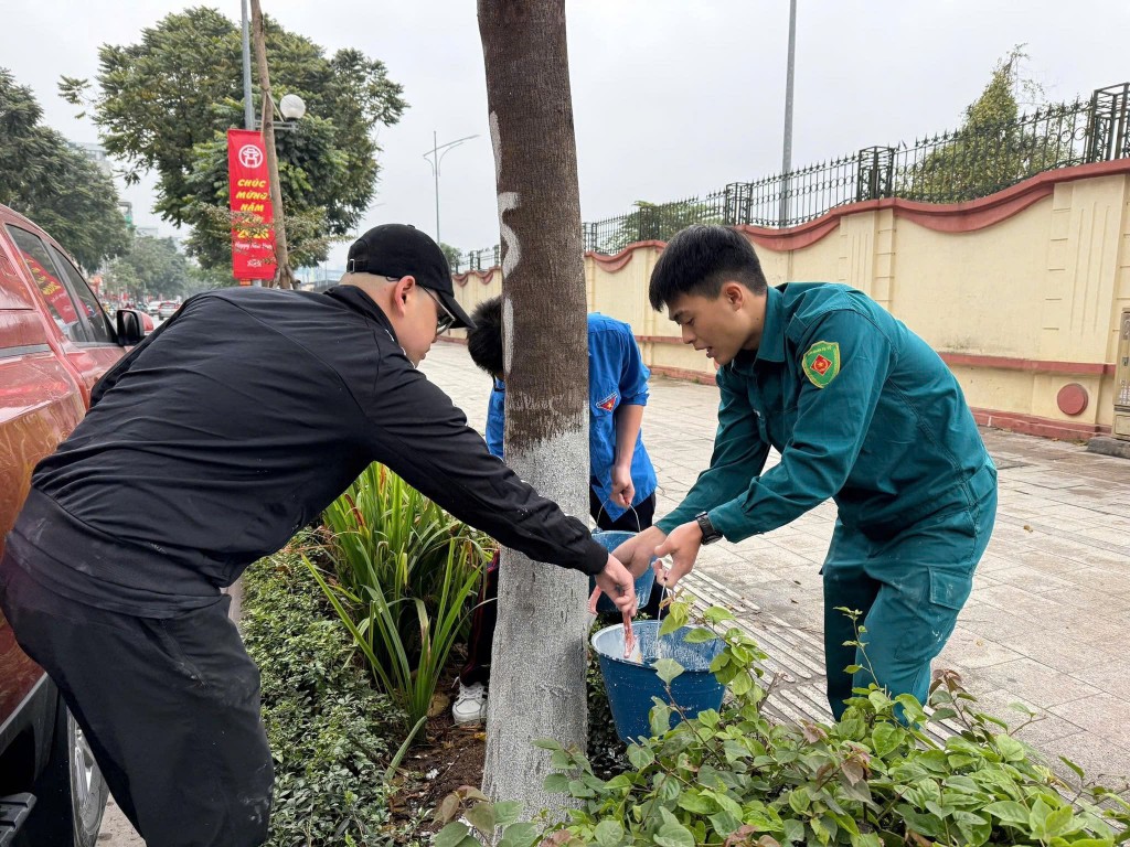 Tuổi trẻ phường Phương Liệt quét vôi gốc cây, bóc xóa quảng cáo trái phép trên tuyến phố Lê Trọng Tấn, chỉnh trang diện mạo đô thị trước và sau Tết Tuổi trẻ phường Phương Liệt quét vôi gốc cây, bóc xóa quảng cáo trái phép trên tuyến phố Lê Trọng Tấn, chỉnh trang diện mạo đô thị trước và sau Tết