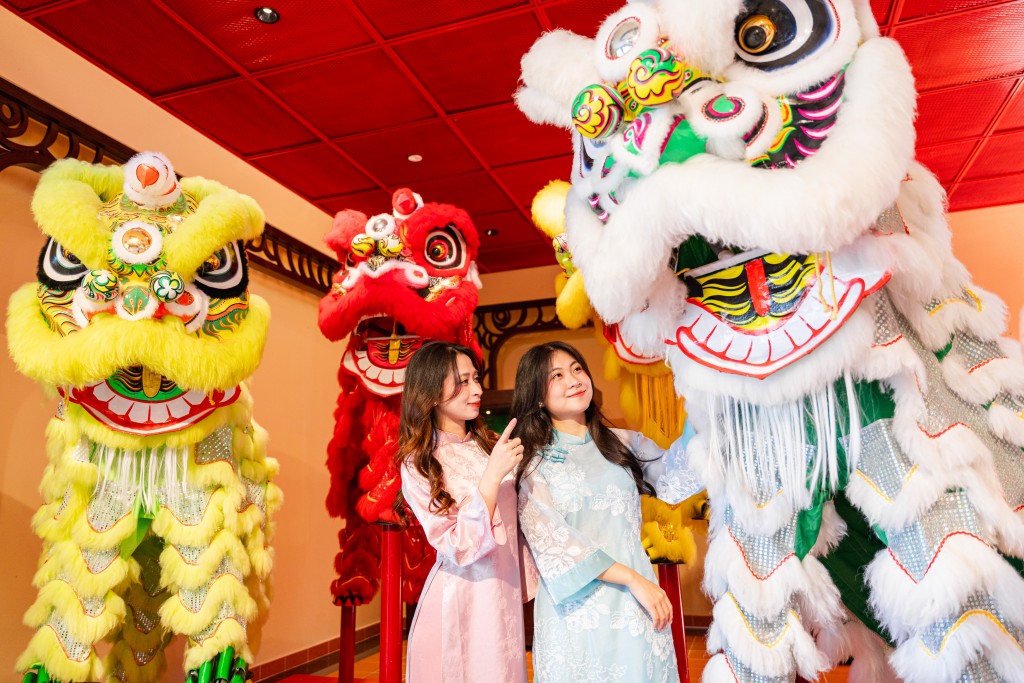 Một triệu bông tulip đang “nhuộm sắc” đỉnh Bà Nà đúng Tết Nguyên đán 2026