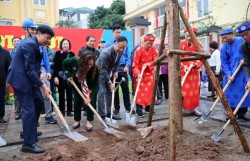 Phủ xanh đường mới, xóa điểm đen đô thị