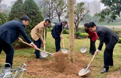 Phường Thanh Xuân rộn ràng hưởng ứng “Tết trồng cây đời đời nhớ ơn Bác Hồ”
