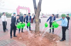 Phủ xanh xã đảo Minh Châu bằng 5.000 cây trồng mới