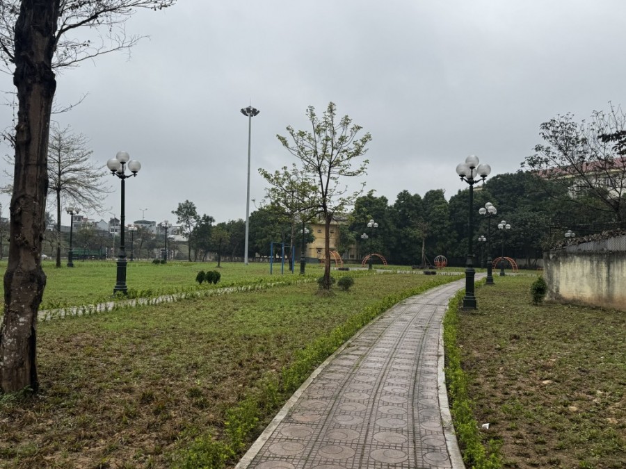 Không gian bãi đất được phủ xanh