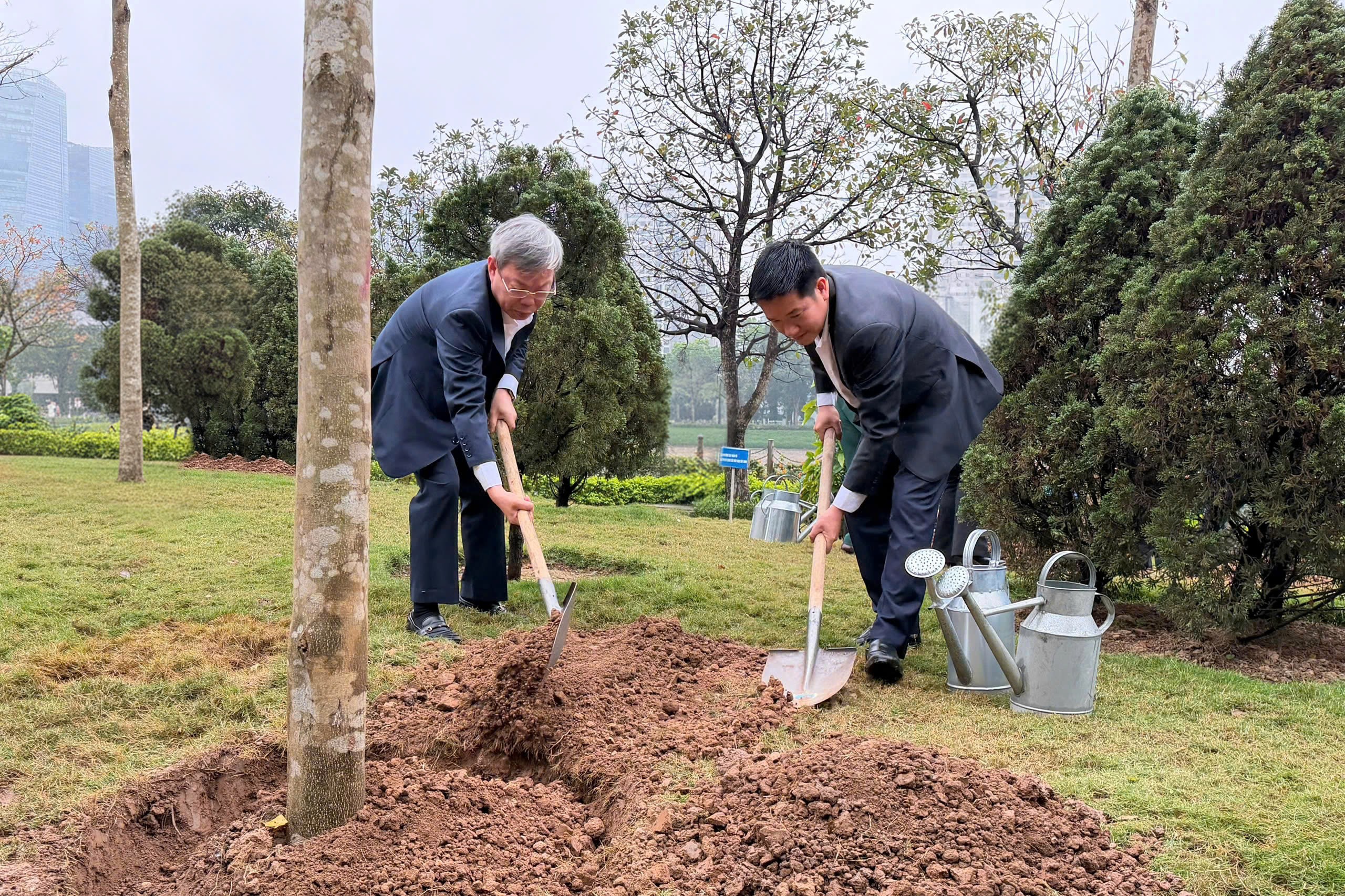 Phường Thanh Xuân rộn ràng hưởng ứng “Tết trồng cây đời đời nhớ ơn Bác Hồ”