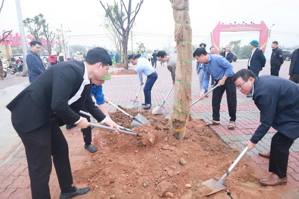 Phủ xanh xã đảo Minh Châu bằng 5.000 cây trồng mới