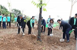 Hội Nông dân thành phố Hà Nội phát động “Tết trồng cây đời đời nhớ ơn Bác Hồ” Xuân Bính Ngọ 2026
