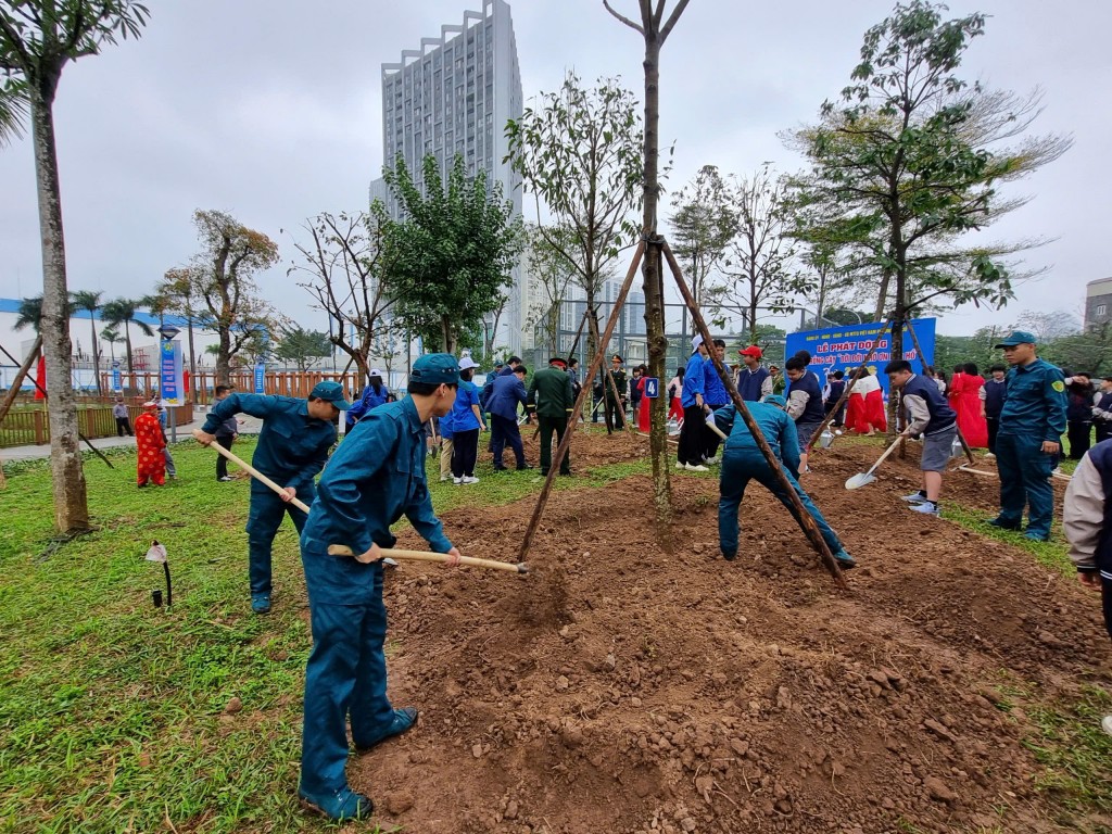Tết trồng cây - nét đẹp văn hoá truyền thống ở phường Đại Mỗ Tết trồng cây - nét đẹp văn hoá truyền thống ở phường Đại Mỗ