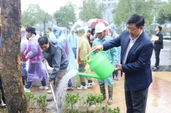 Các phường lan tỏa thông điệp sống xanh đầu Xuân Bính Ngọ 2026