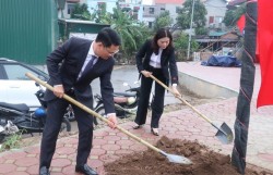 Phấn đấu nâng cao tỉ lệ bao phủ cây xanh, góp phần cải thiện chất lượng môi trường sống