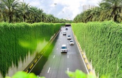 Trồng thêm một cây xanh, Thủ đô thêm xanh