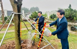 Hoài Đức phát động “Tết trồng cây đời đời nhớ ơn Bác Hồ"