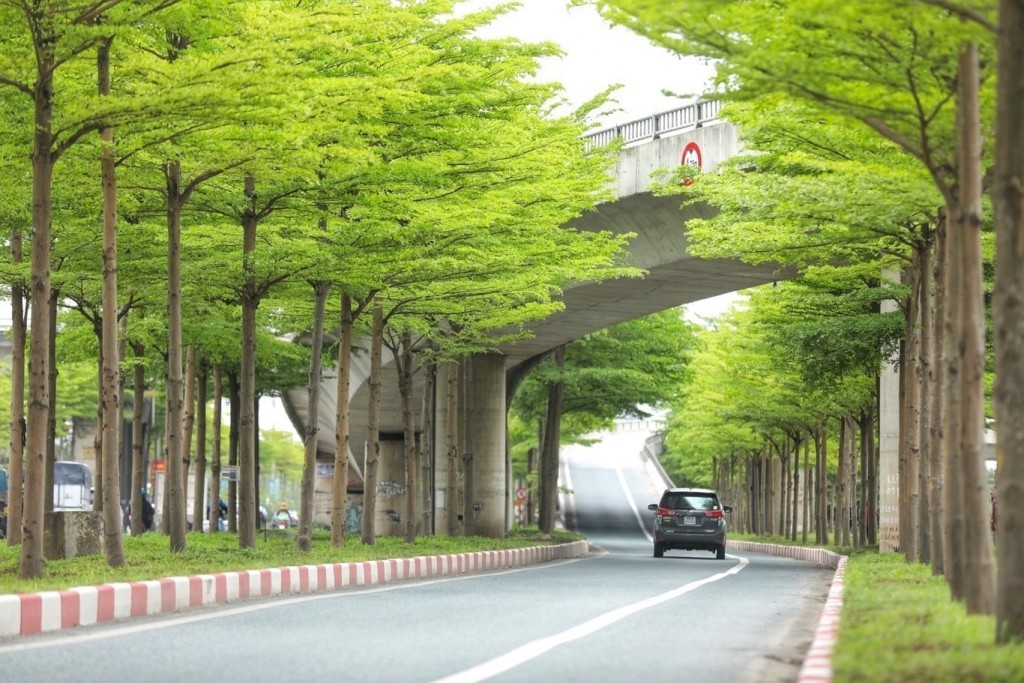 Hà Nội - thành phố của những cây xanh (Ảnh: Minh Quyết)