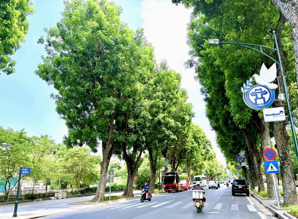 Lan tỏa tinh thần bảo vệ môi trường, nhân lên những mùa xuân