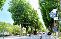 Lan tỏa tinh thần bảo vệ môi trường, nhân lên những mùa xuân