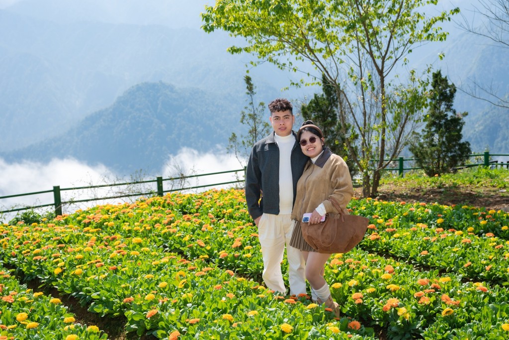 Mãn nhãn với biển hoa vàng rực rỡ tại Fansipan